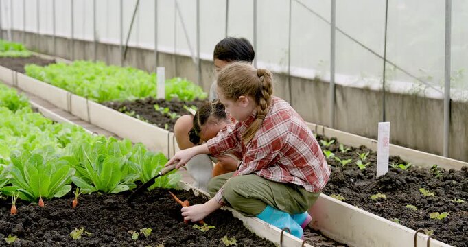 Young children work together planting vegetables in greenhouse soil as one girl digs with garden trowel while classmates observe, supporting practical learning, teamwork, agriculture education.