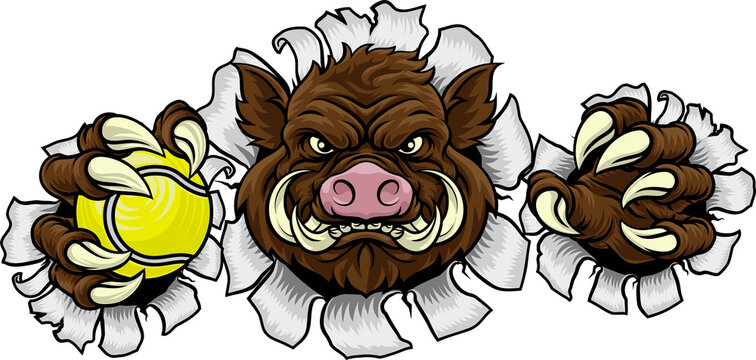 boar mascot 2023 tear A26