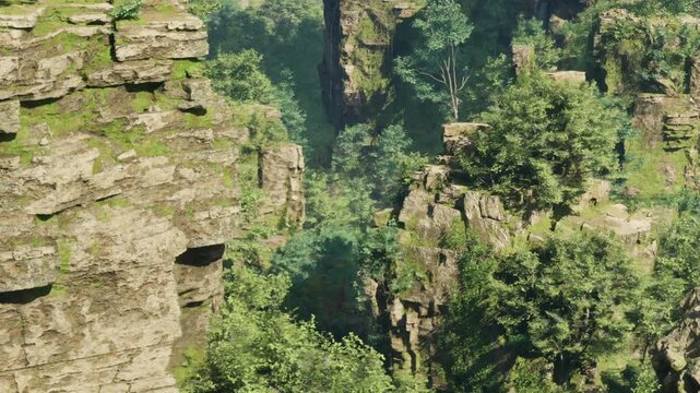 Tall rocky cliffs surrounded by trees and dense greenery. Sunlight shines on the rocks and plants, highlighting the beauty of nature in this forest area.