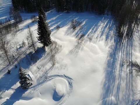 Aerial view of snowy forest with long tree shadows
