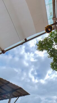 Vertical timelapse of clouds moving across a blue sky, framed by tropical foliage and a rooftop structure, capturing changing weather and an outdoor atmosphere.