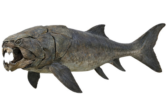 Enormous armored prehistoric fish with jagged teeth and dark topaz scales, isolated against black, evoking ancient marine power and danger