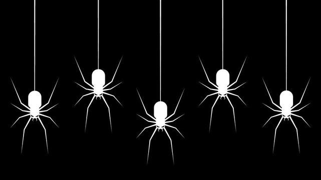 White Hanging Spiders Silhouette Animation on Black Background Halloween Theme Vector Graphic.