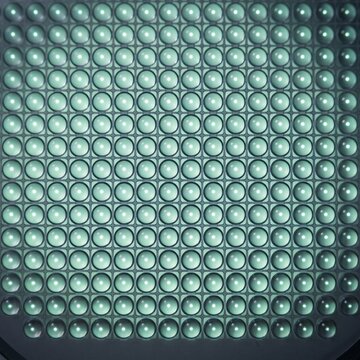 Backlit microlens domes gathering light in a grid across a wafer