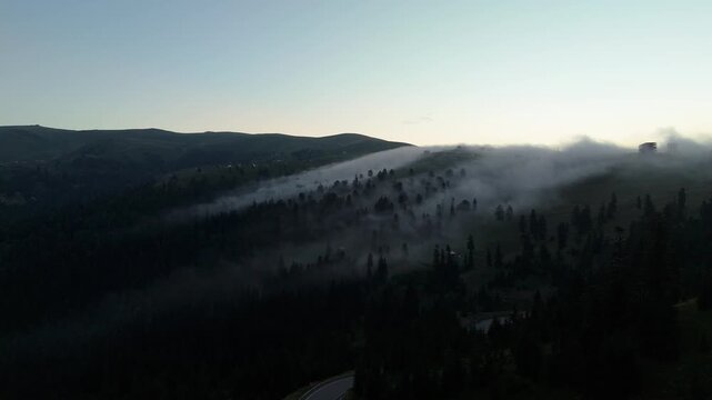 Smog on mountains with trees. Clouds move over the forest in evening time. Mystery view.  A view of mountains shows clouds moving over tall trees This location has a mixture of greenery and mist roll