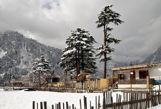 View of a traditional house nestled in the snow-covered Ushu Valley with tall pine trees and majestic mountains in the background in Kalam, Khyber Pakhtunkhwa, Pakistan.