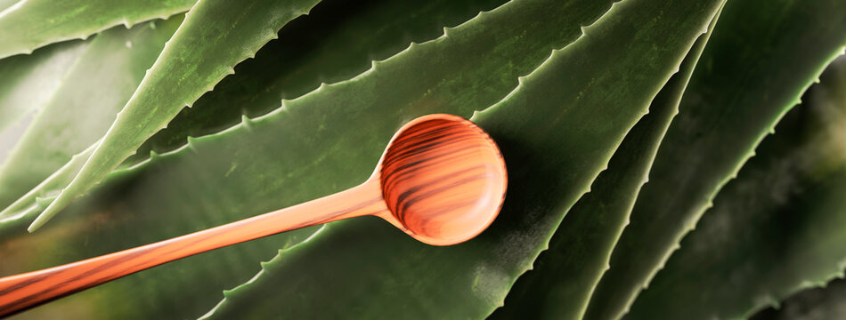 Close-up of aloe vera leaves with a wooden spoon, highlighting natural healing properties
