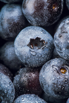 Fresh blueberries with water drops macro close up. Selective focus.