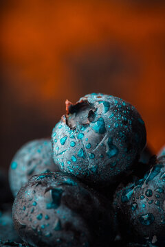 Fresh blueberries with water drops macro close up. Selective focus.