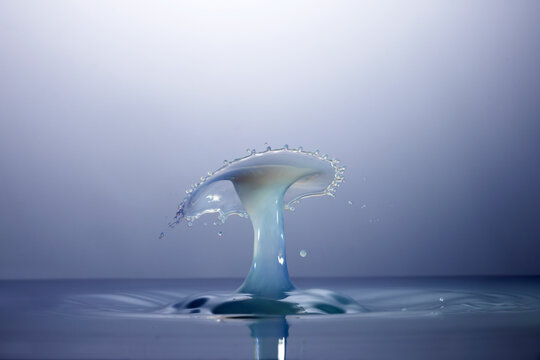 Splash con latte e tinta azzurra
