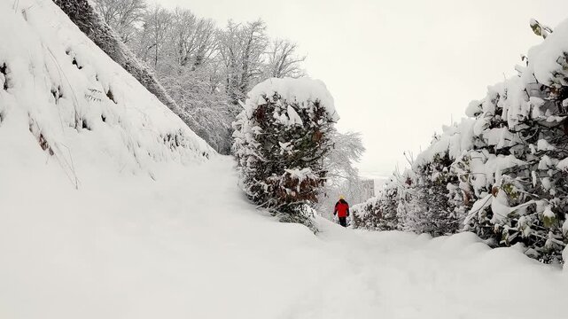 Solitary man in red jacket walking down a path during snowfall
