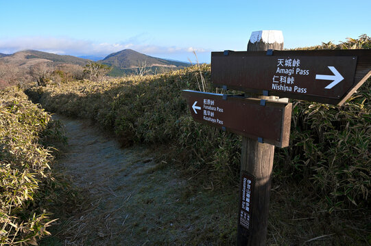 伊豆半島の伊豆山稜線歩道　仁科峠付近の草原の縦走路
