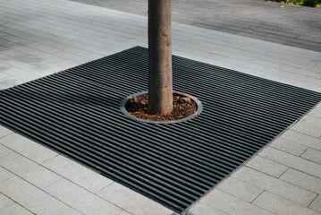 A tree stands in the center of a circular space surrounded by metal grating, which allows air and water to reach the roots. The area is paved with smooth stone tiles in a modern urban environment © Sergio