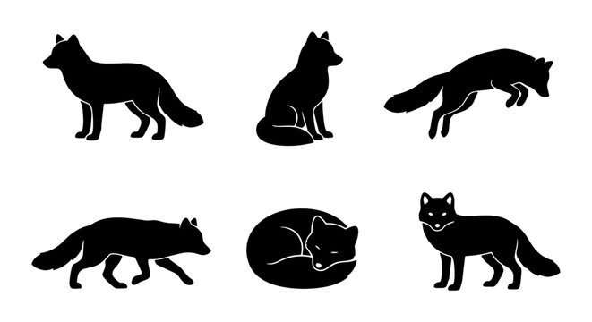 Set of Six Black Fox Silhouettes, Arctic Fox Poses, Wildlife Vector Icons, Animal Graphics for Design
