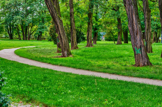 Views in the city park at the end of the fading summer.