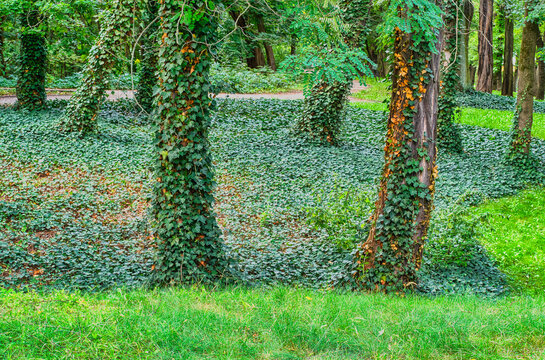 Views in the city park at the end of the fading summer.
