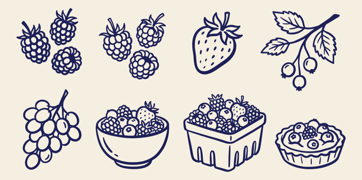 Fresh berries and fruits assortment strawberries raspberries grapes and berry pie line art doodle set on beige background