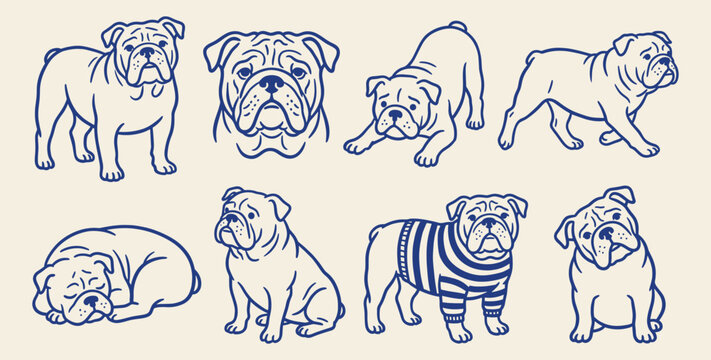 English bulldog breed poses portrait sitting standing sleeping and stretching line art doodle icon set on beige background