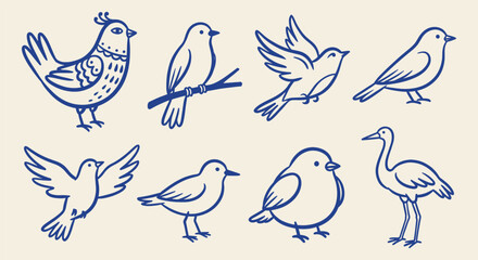 Fototapeta premium Set of hand drawn outline different bird icons in various poses on a cream background