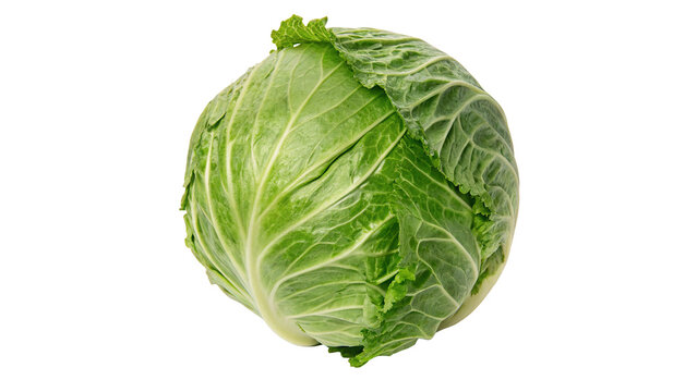 Fresh crisp whole green cabbage head rich in nutrition isolated on transparent background