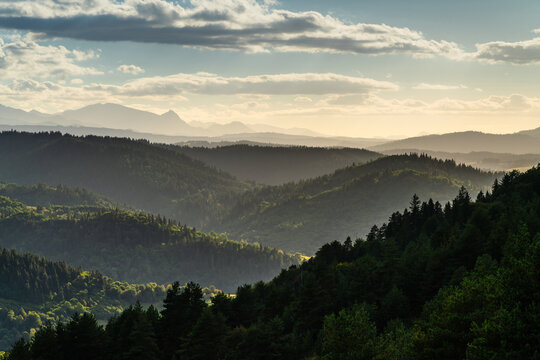 View of Lesnicke sedlo with rolling forested hills, deep valleys, and soft golden hour light illuminating the mountain landscape in Velky Lipnik, Presovsky kraj, Slovakia.