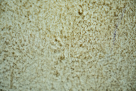 soft focus texture for overlays