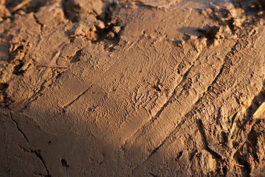 Mud texture in natural 