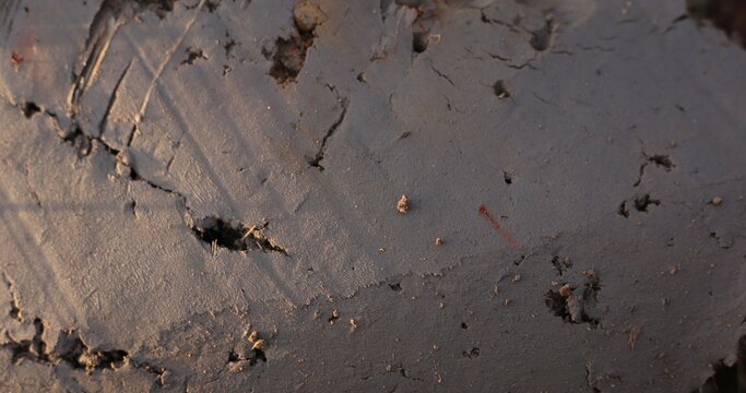 Texture of mud background 