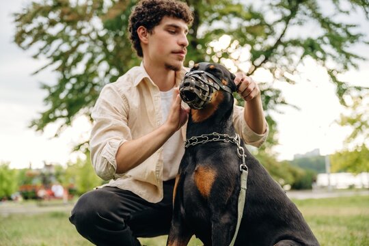 Young man fitting a muzzle on a Rottweiler dog while sitting on grass in a park, trees and a body of water visible in the background