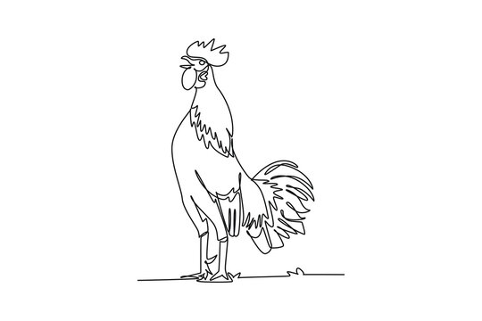 Single one line drawing farm rooster crowing loudly at daybreak with head tilted back, arched tail plumage, prominent comb, rural poultry life. Continuous line draw design graphic vector illustration