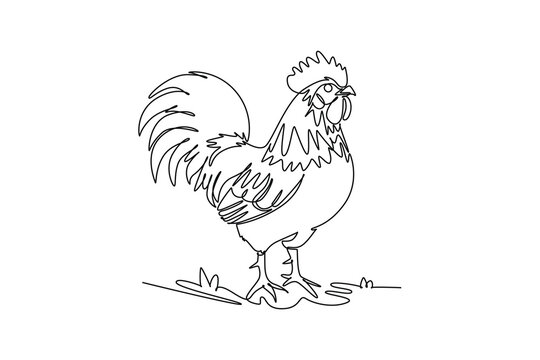 Single one line drawing majestic farm rooster standing upright with a curved tail, plumage, and comb. Rural dawn, poultry livestock, farm life. Continuous line draw design graphic vector illustration
