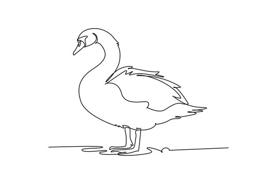 Continuous one line drawing graceful farm swan standing near ground. Elegant curved neck, feathered wings, webbed feet, tranquil waterfowl beauty. Single line draw design vector graphic illustration