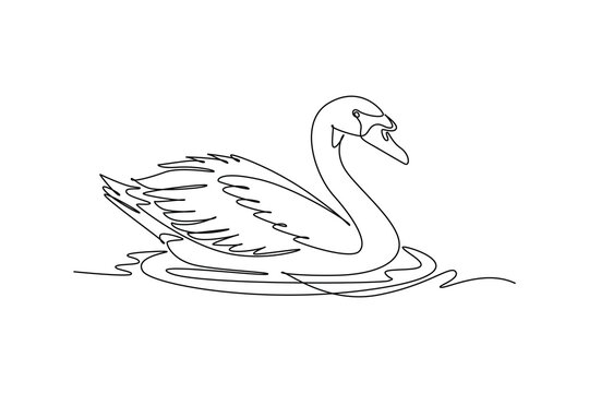 Continuous one line drawing animal swan swimming smoothly on water ripple, elegant curved neck, feather plumage, and serene aquatic wildlife nature. Single line draw design vector graphic illustration