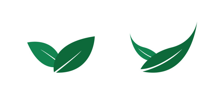 leaves icon with green eco logo design, nature organic isolated illustration for vegetarian and vegan product branding.