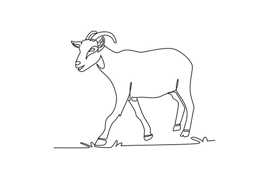 Single continuous line drawing domestic farm goat walking calmly through a pasture. Curved horns, alert ears, sturdy hooves, and rural livestock grace. One line draw graphic design vector illustration