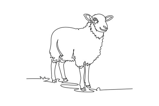 Single continuous line drawing domestic farm sheep standing in field. Thick curly fleece, perky ears, pastoral agriculture, peaceful livestock charm. One line draw graphic design vector illustration