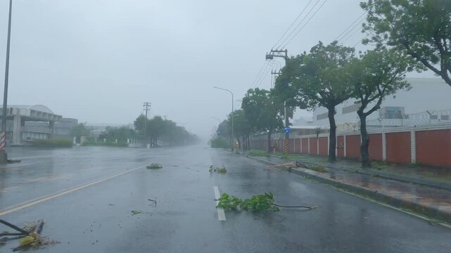 Driving Through Blinding Rain And Powerful Winds During Hurricane