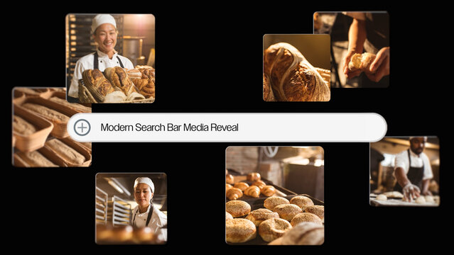 Search Bar Media Reveal