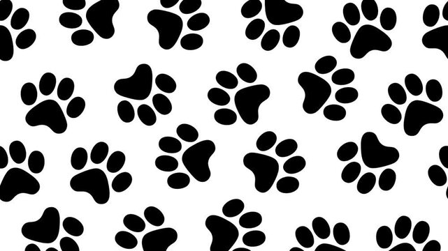Black Paw Print Seamless Motion Background Scrolling Down