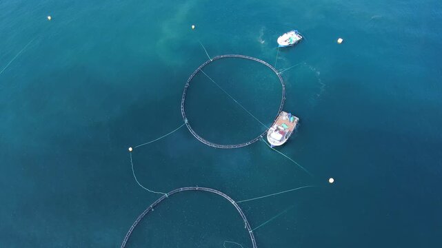 Footage of fish ponds, the main form of aquaculture. Salmon, sea bass, sea bream and trout are the most commonly grown fish in fish ponds used for commercial fishing in the sea, lakes and ponds.