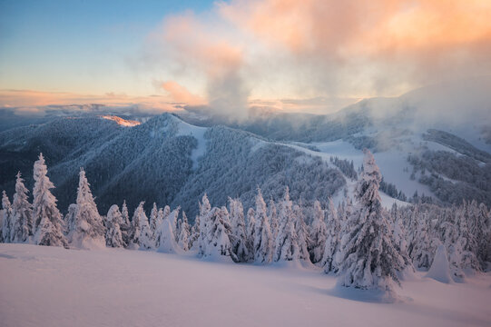 View of Borisov peak surrounded by snow-covered pine trees and winter landscape under a golden sunset sky, Velka Fatra mountains, Zilina Region, Slovakia.