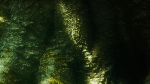 Light reflects on water creating patterns on the surface. Green algae is visible beneath the water. This scene is captured in a natural setting during daylight hours.