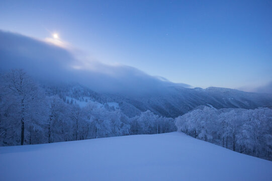 View of Borisov peak surrounded by frost-covered trees and deep snow under a moonlit sky in the Velka Fatra mountains, Zilina Region, Slovakia.