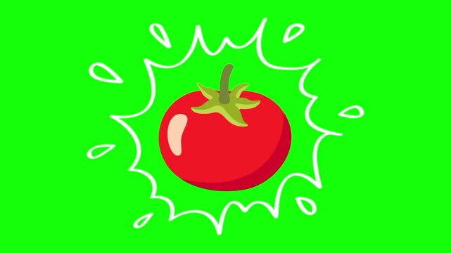 Red tomato fruit on water splash isolated animation. Animated vector motion graphic video on green screen or alpha channel. Illustration of fresh, organic, healthy fruits and food icon