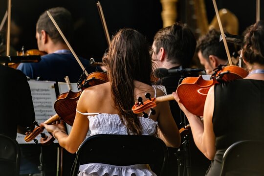 View of musicians playing violins in an orchestra at Parque do Vale do Silencio in Lisboa, Lisboa, Portugal.