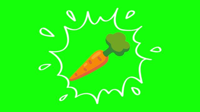 Single carrot on water splash isolated animation. Animated vector motion graphic video on green screen or alpha channel. Illustration of fresh, organic, healthy vegetable and food icon
