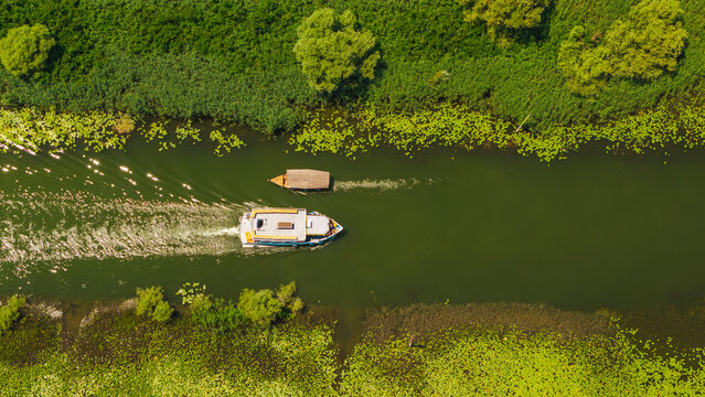Aerial View of Boat Crossing Lily-Covered Lake Skadar in Montenegro