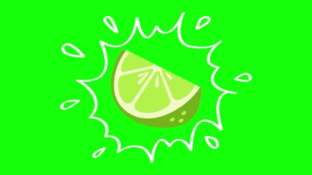 lemon lime fruit on water splash isolated animation. Animated vector motion graphic video on green screen or alpha channel. Illustration of fresh, organic, healthy fruits and food icon
