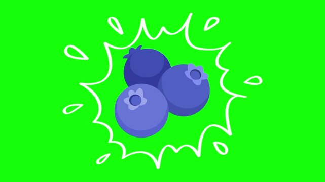 blueberry on water splash, isolated fruit animation. Animated vector motion graphic video on green screen or alpha channel. Illustration of fresh, organic, healthy fruits and food icon