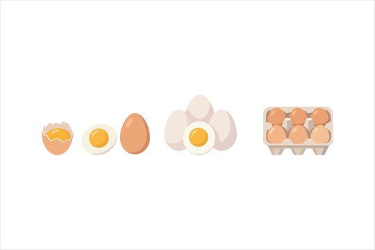 Fresh and boiled eggs set illustration in flat 2D style. Vector concept for cooking ingredients, farm fresh food, and recipe design.